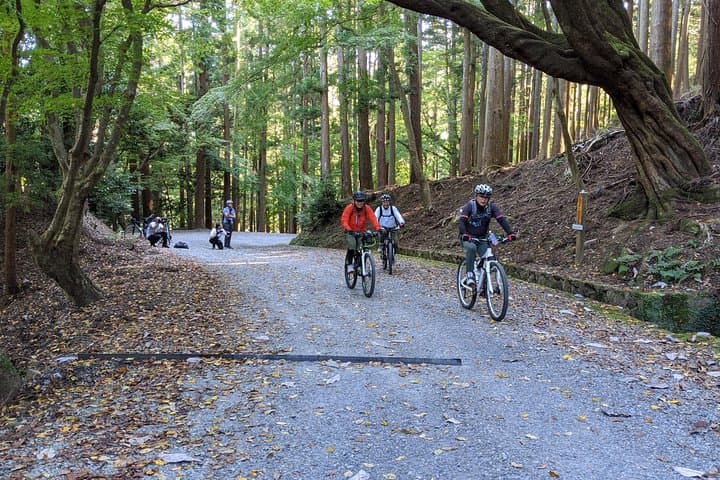 Nara - Heart of Nature Cross Bike Tour — photo 6