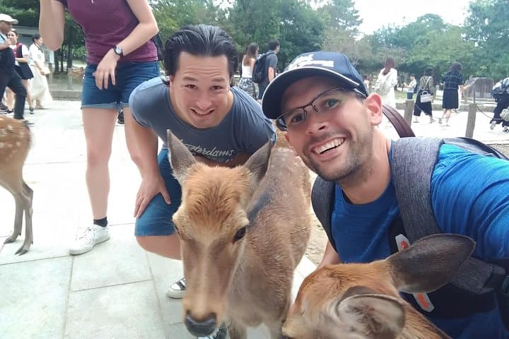Nara - Highlights Bike Tour — photo 11