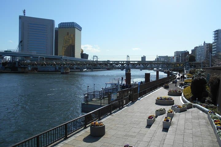 Water Bus Ticket Odaiba ↔ Asakusa — photo 6