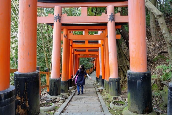 Explore Japan Tour: 12-day Small Group — photo 1
