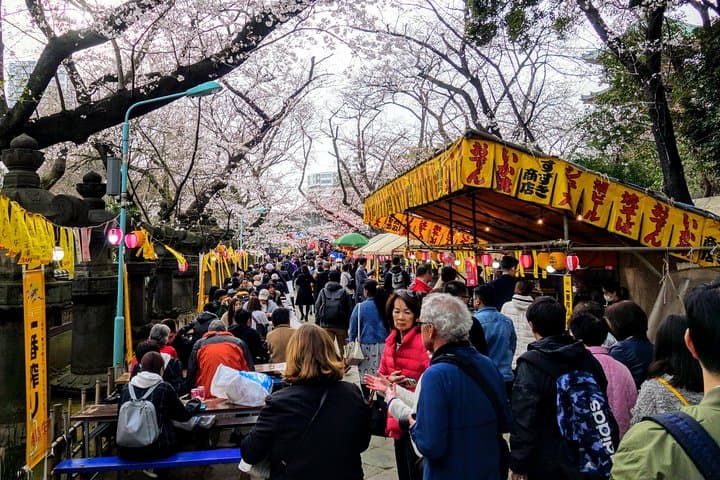 Explore Japan Tour: 12-day Small Group — photo 6