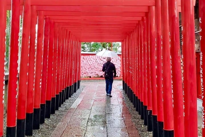 Intro to Japan Tour: 8-day Small Group — photo 2