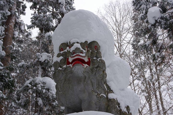 Nagano Snowshoe Hiking Tour — photo 5