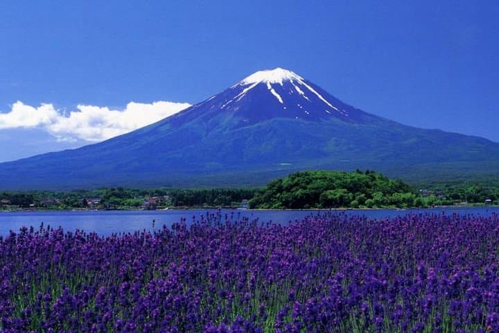 View of Mt. Fuji is good! Sushi making experience class — photo 4