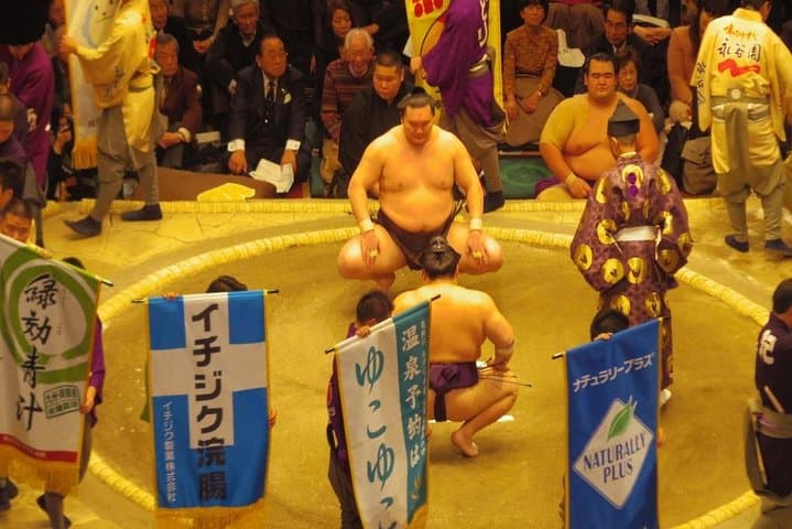 Tokyo Sumo Wrestling Tournament Experience — photo 6