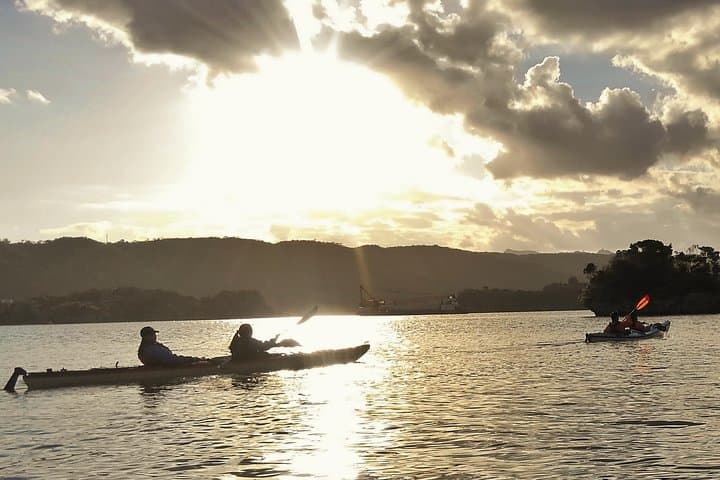 Okinawa: Kayak Mangroves & Ocean Native-English Private Tour — photo 10