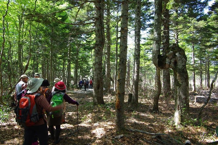 Towards silent unexplored pond, Naganuma Guided Walk — photo 6