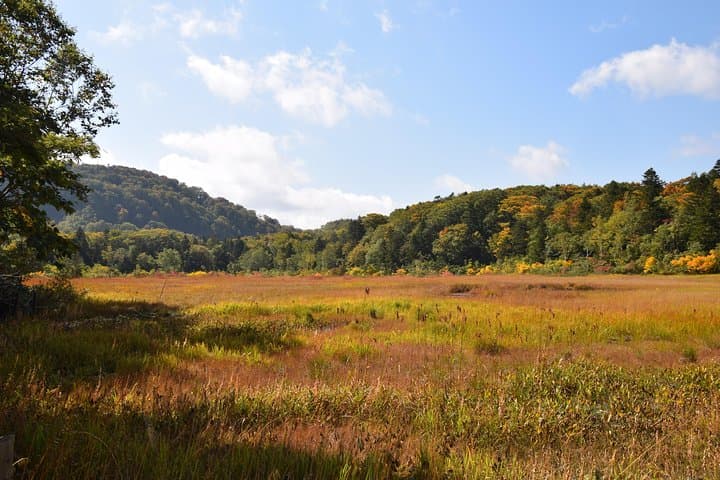 Towards silent unexplored pond, Naganuma Guided Walk — photo 5