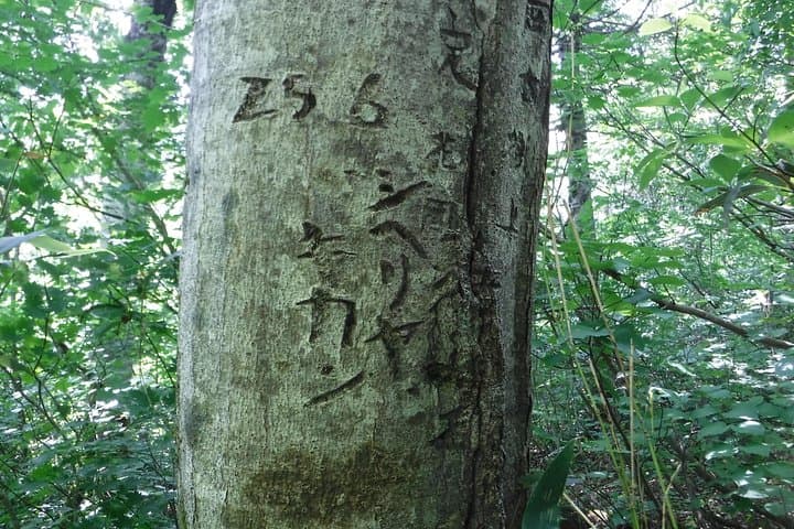 Towards silent unexplored pond, Naganuma Guided Walk — photo 7