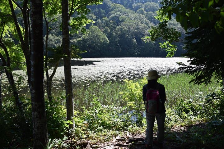 Towards silent unexplored pond, Naganuma Guided Walk — photo 9
