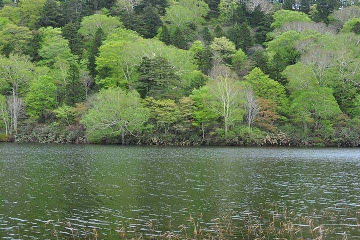 Towards silent unexplored pond, Naganuma Guided Walk — photo 10