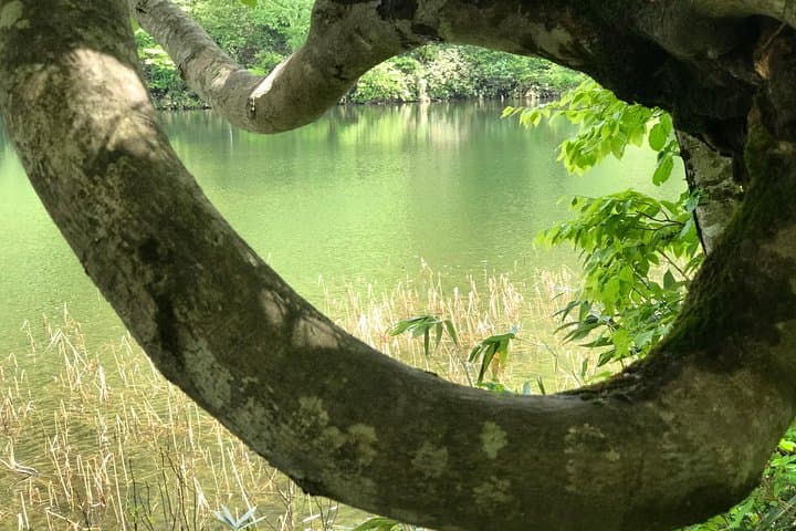 Towards silent unexplored pond, Naganuma Guided Walk — photo 11