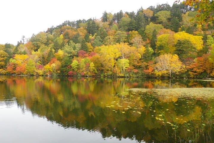 Towards silent unexplored pond, Naganuma Guided Walk — photo 12