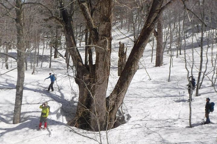 Towards silent unexplored pond, Naganuma Guided Walk — photo 14