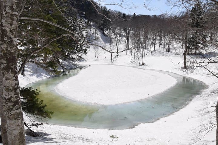 Towards silent unexplored pond, Naganuma Guided Walk — photo 15
