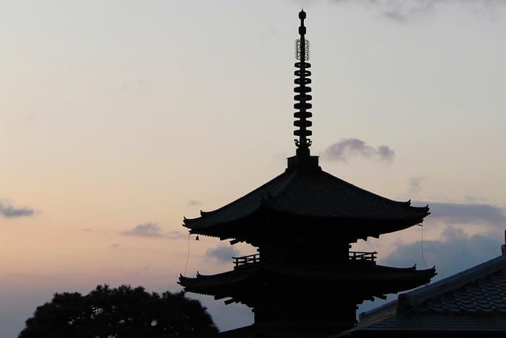 Authentic Kyoto Tea Ceremony: Camellia Flower Teahouse — photo 16