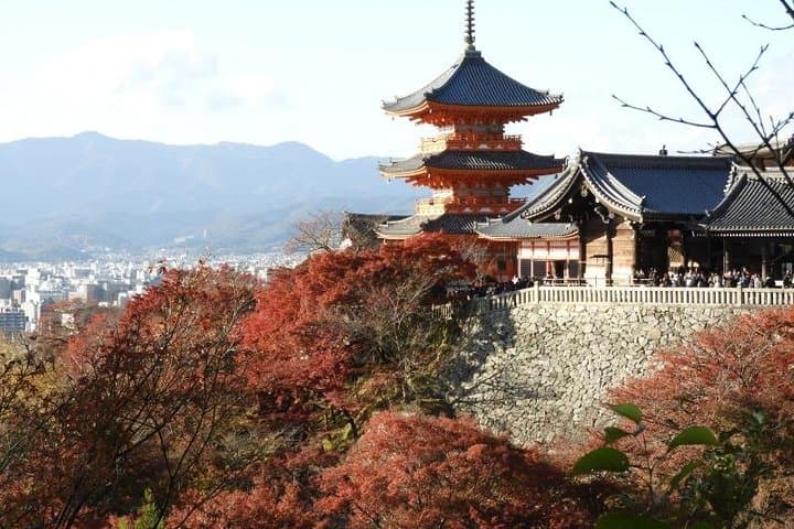 Kyoto Full Day (8 hours) Ultimate Sightseeing Private Tour — photo 12