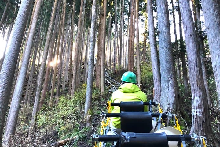 One Day Tour of Tokyo's Plentiful Nature in Hinohara Village — photo 2