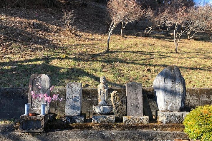 One Day Tour of Tokyo's Plentiful Nature in Hinohara Village — photo 4