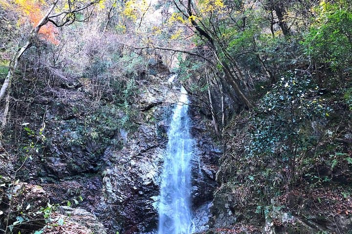 One Day Tour of Tokyo's Plentiful Nature in Hinohara Village — photo 6