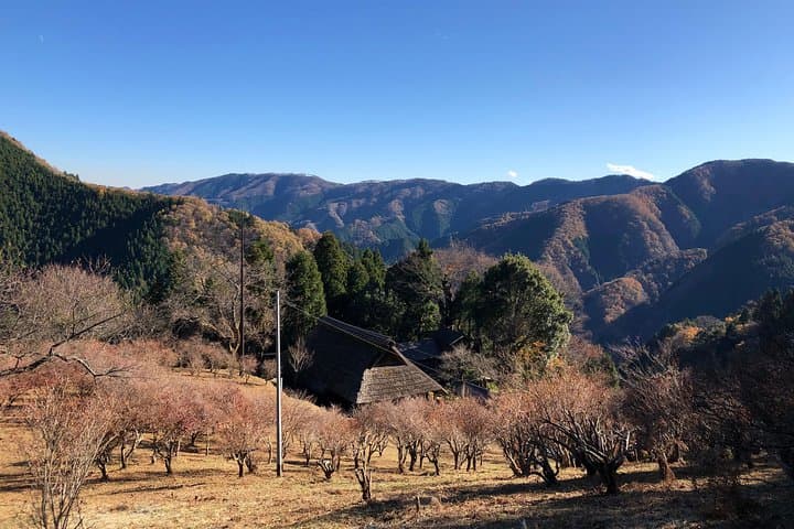 One Day Tour of Tokyo's Plentiful Nature in Hinohara Village — photo 12