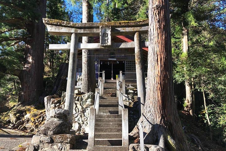 One Day Tour of Tokyo's Plentiful Nature in Hinohara Village — photo 13