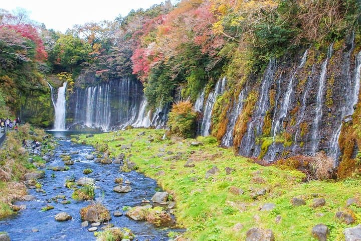 A trip to enjoy subsoil water and nature behind Mt. Fuji — photo 4