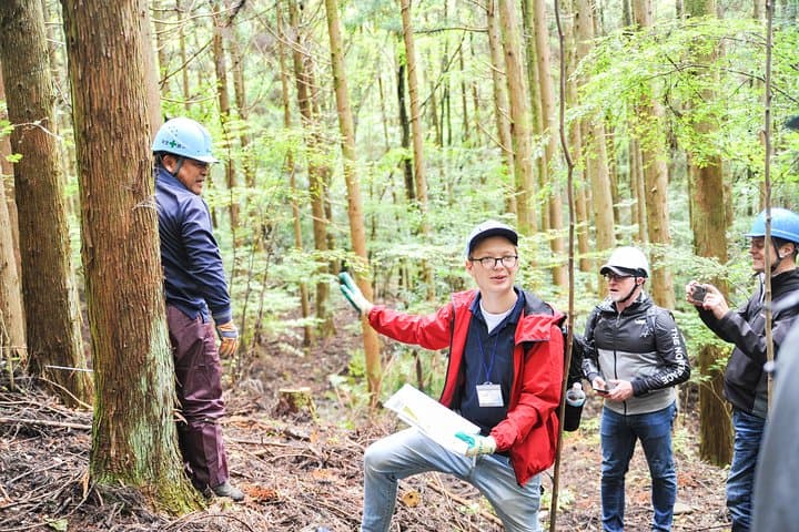 Rural Forestry Tour in Aso Minamioguni — photo 3