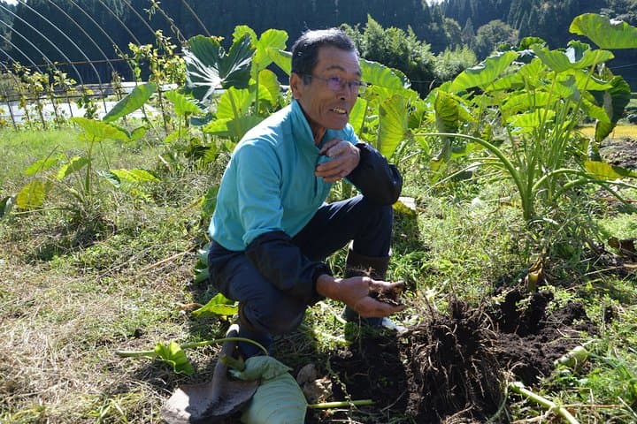 Aso Caldera and Farm Experience Tour — photo 7
