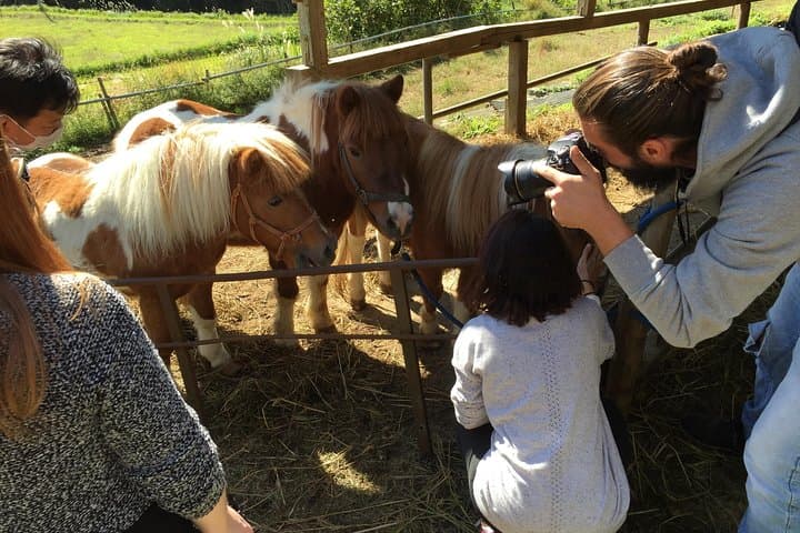 Aso Cycling and Farming Private Tour — photo 8