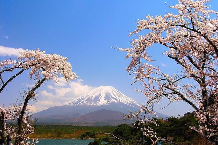 Mt Fuji Private Tour with Native Japanese Driver — photo 1