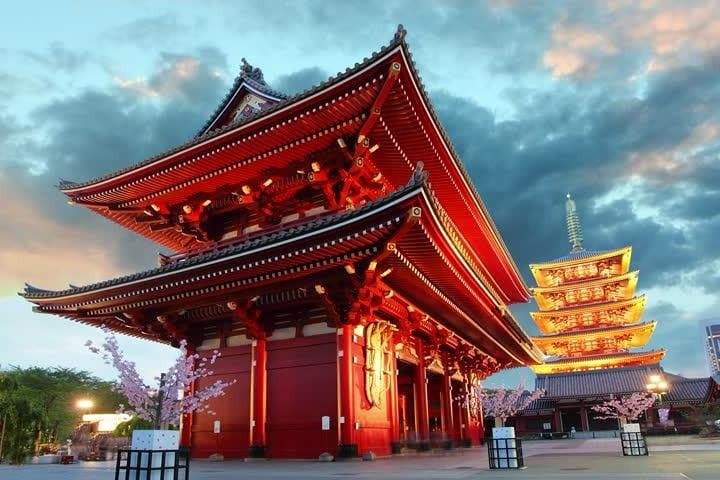Tokyo Private Tour with Native Japanese Driver — photo 2