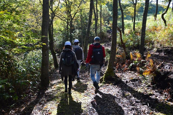 Rural Forestry Tour in Aso Minamioguni — photo 2