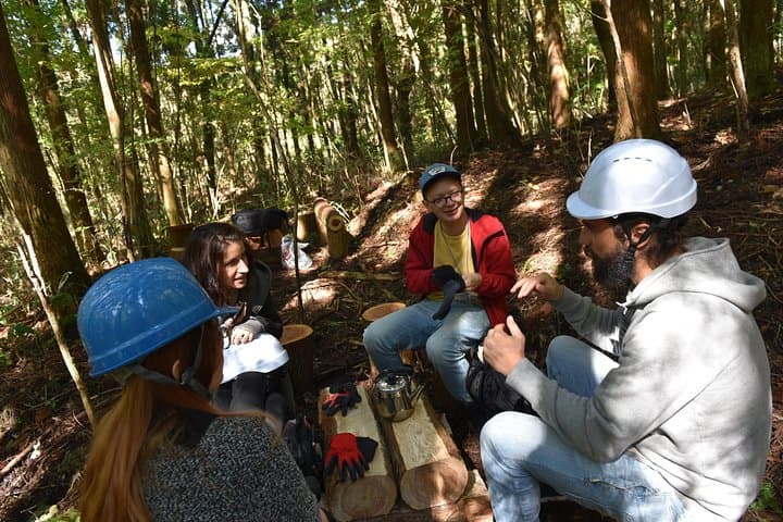 Rural Forestry Tour in Aso Minamioguni — photo 5