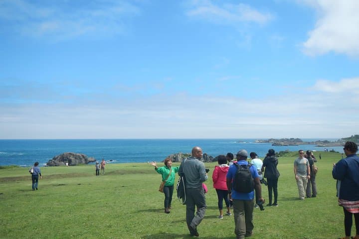 The best morning and Michinoku Shiokaze trail trekking in the Tanesashi Coast natural grassland — photo 4