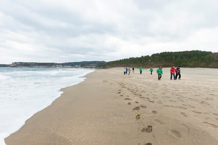 The best morning and Michinoku Shiokaze trail trekking in the Tanesashi Coast natural grassland — photo 6