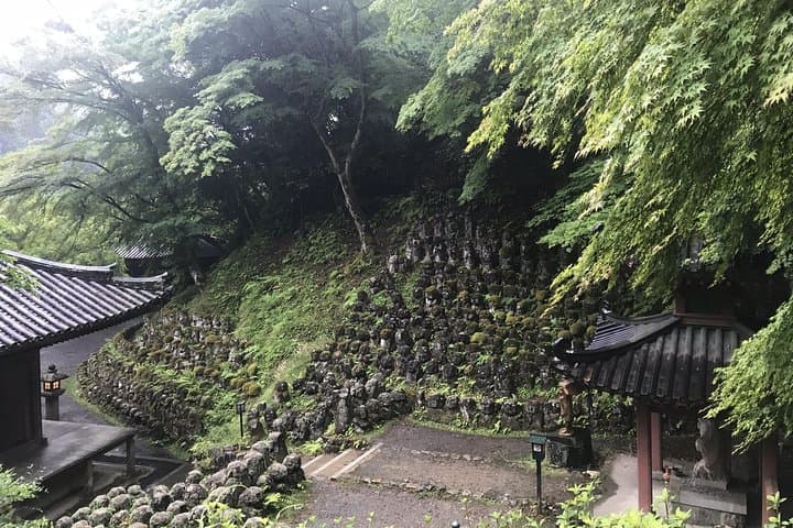 Kyoto: Descending Arashiyama (Private) — photo 2