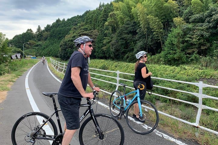 Guided Hybrid Bike Tour in Shizuoka City (Note: not e-bikes) — photo 8