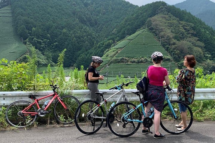 Guided Bike Tour to a Green Tea Farm in Shizuoka (not e-bikes) — photo 3