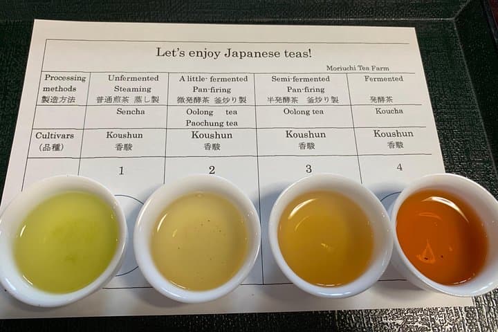 Guided Bike Tour to a Green Tea Farm in Shizuoka (not e-bikes) — photo 5