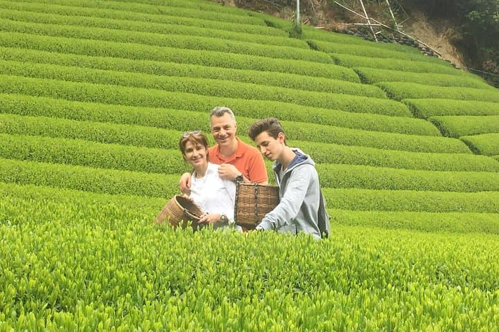 Guided Bike Tour to a Green Tea Farm in Shizuoka (not e-bikes) — photo 12