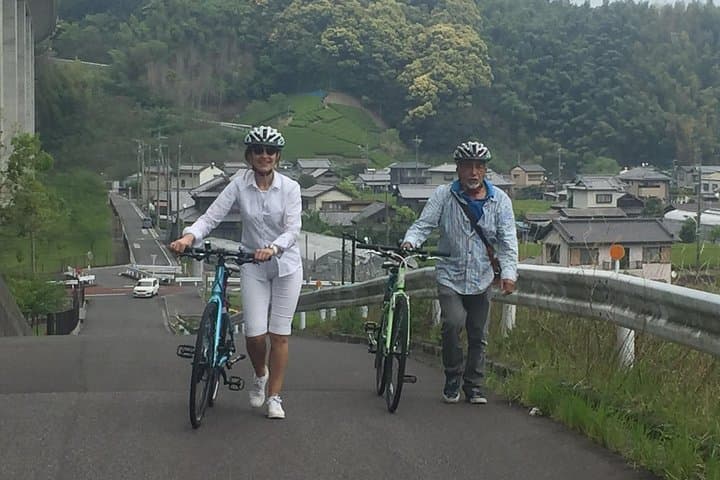 Guided Bike Tour to a Green Tea Farm in Shizuoka (not e-bikes) — photo 13