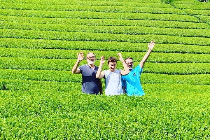Guided Bike Tour to a Green Tea Farm in Shizuoka (not e-bikes) — photo 17