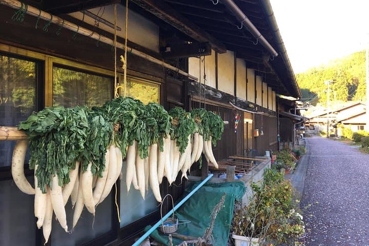 Explore Kiso Valley : Magome - Tsumago Mountain Trail Walk — photo 8
