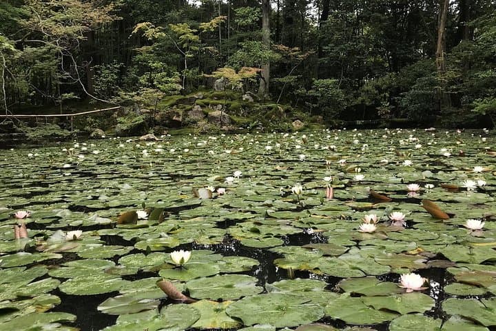 Kyoto: The Path Less Traveled (Private) — photo 2