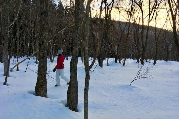 Early morning fantasy "snow crossing" experience — photo 7