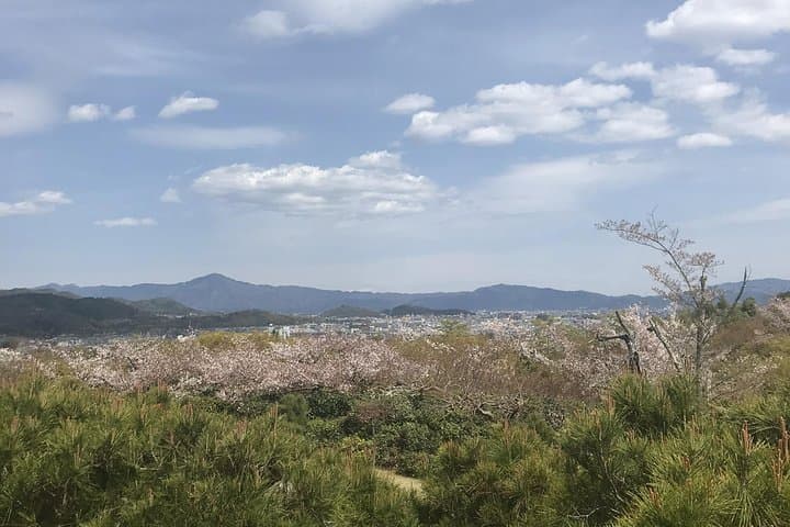 Kyoto: Descending Arashiyama (Private) — photo 12