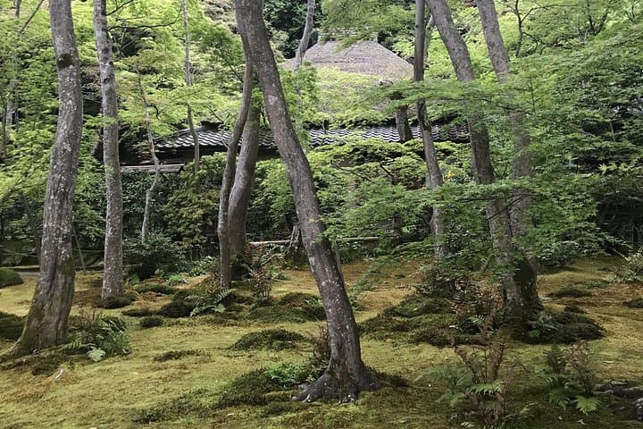 Kyoto: Descending Arashiyama (Private) — photo 10