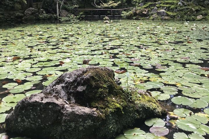 Kyoto: Zen Garden, Zen Mind (Private) — photo 9