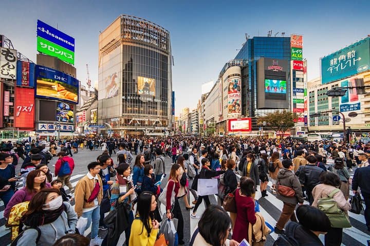 Tokyo Private Tour by Vehicle with English-Speaking Chauffeur — photo 2